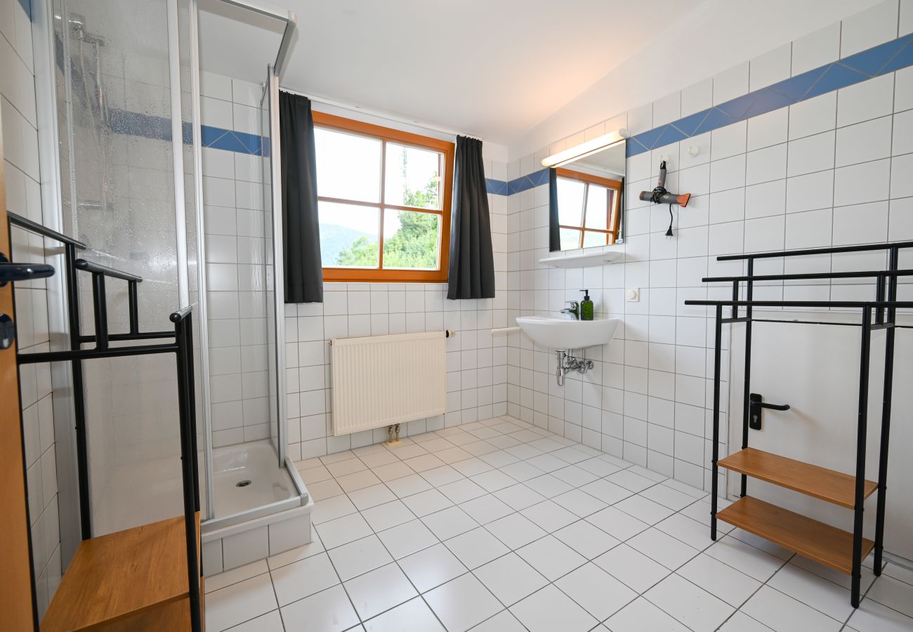 Studio in Zell am See - Schmitten 27 - Room 4 / 200m from ski lift