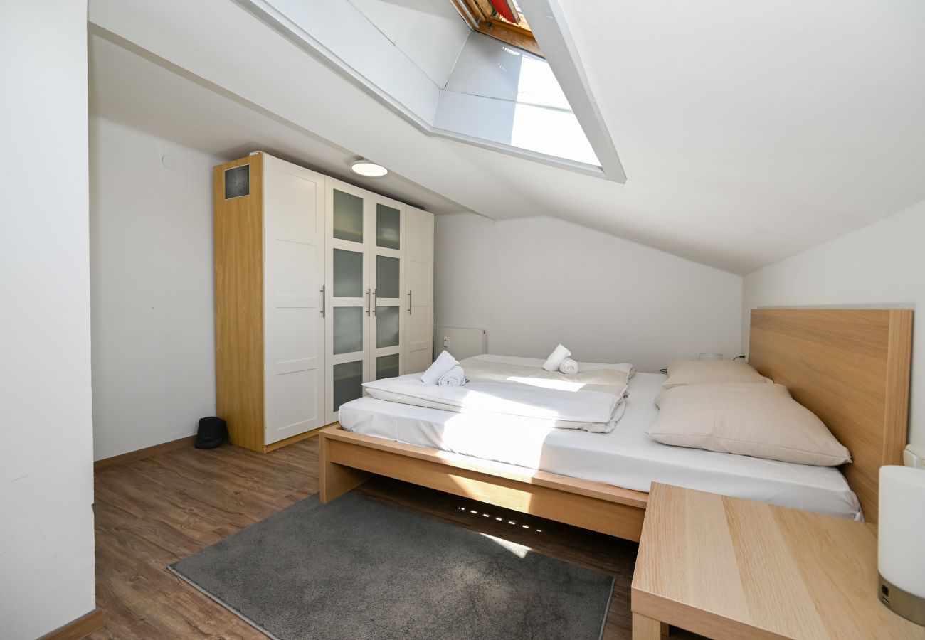 Apartment in Zell am See - Apartment Lisa, balcony, near AreitXpress