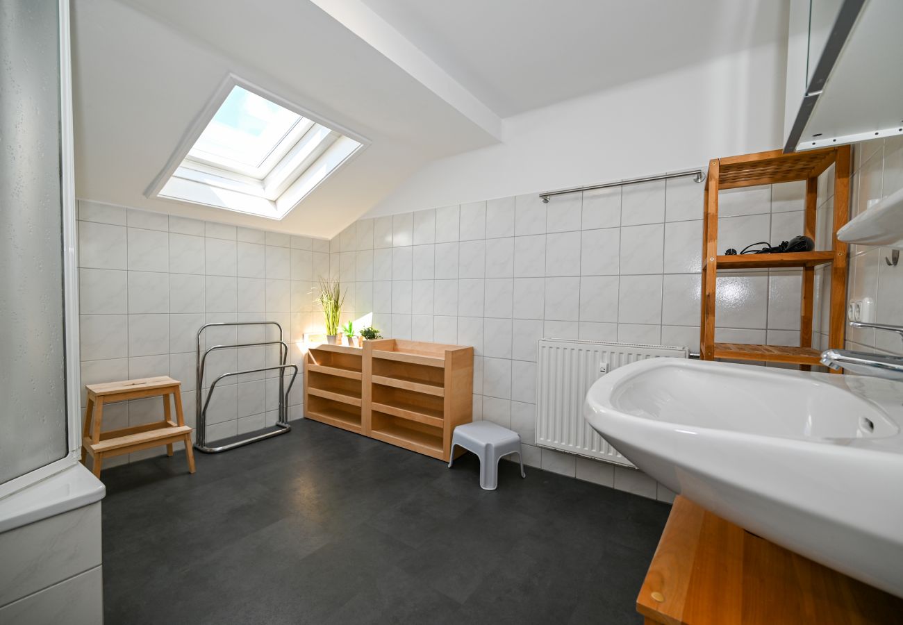 Apartment in Zell am See - Apartment Lisa, balcony, near AreitXpress