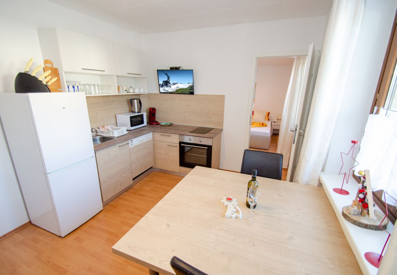 Wohnung in Zell am See - Appartementhaus Kitzsteinhorn - Top 1