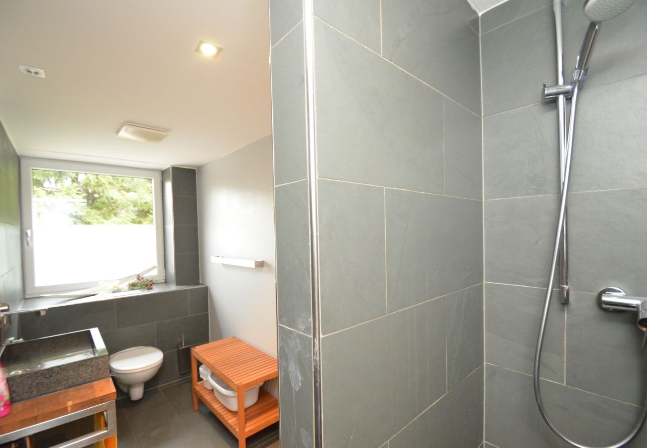 Ferienwohnung in Zell am See - 5 Seasons House Zell am See - TOP 1