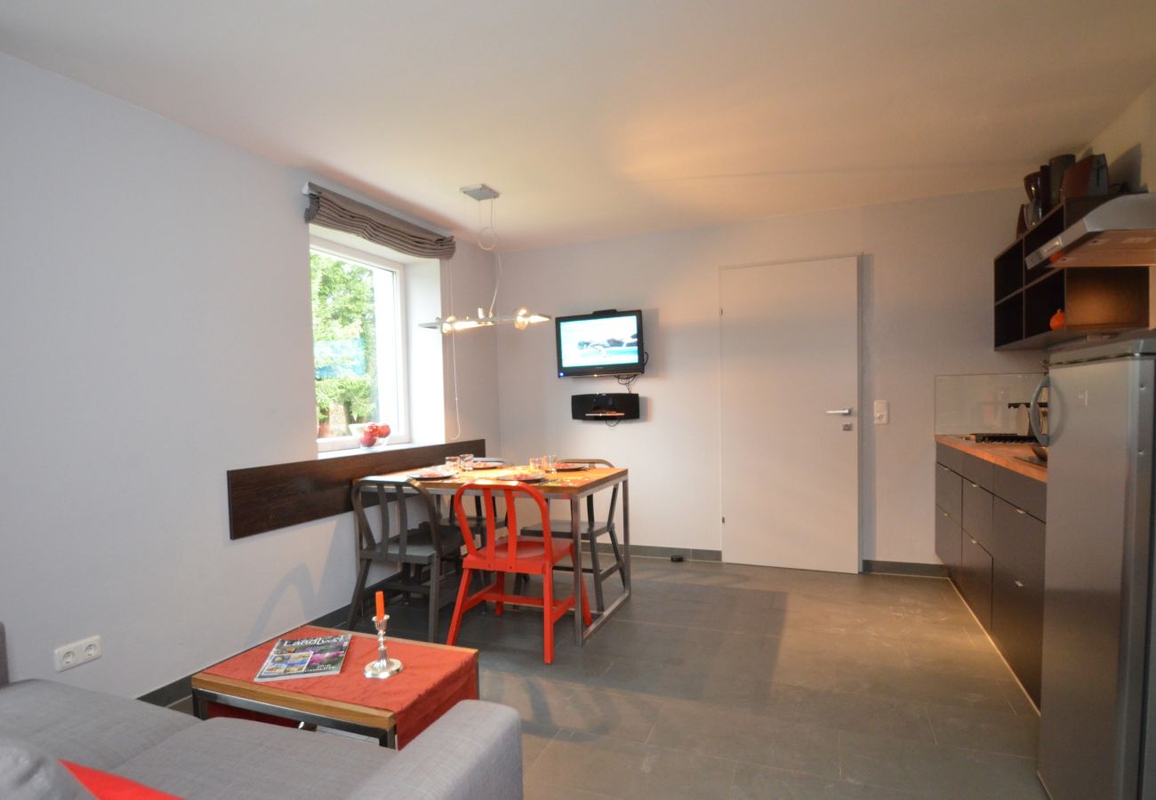 Ferienwohnung in Zell am See - 5 Seasons House Zell am See - TOP 1