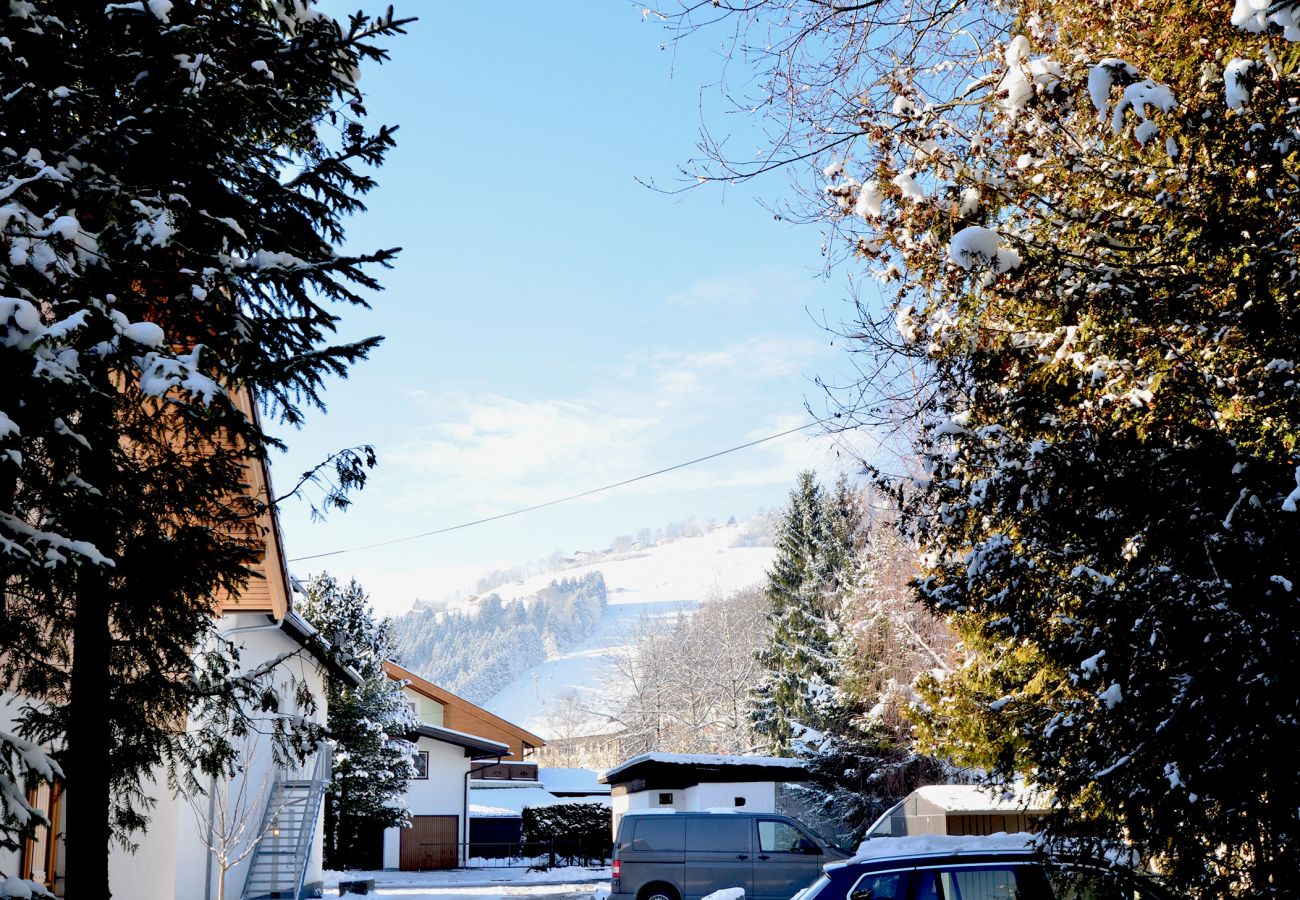 Ferienwohnung in Zell am See - 5 Seasons House Zell am See - TOP 1