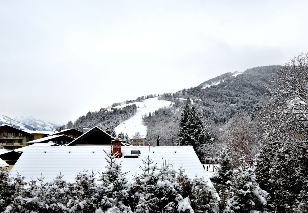 Ferienwohnung in Zell am See - 5 Seasons House Zell am See - TOP 4