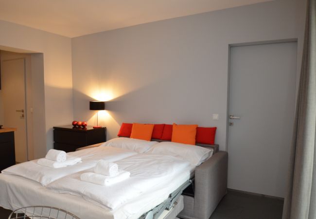 Ferienwohnung in Zell am See - 5 Seasons House Zell am See - TOP 6, SUMMER CARD Ferienwohnung in Zell am See - 5 Seasons House Zell am See - TOP 6, SUMMER CARD