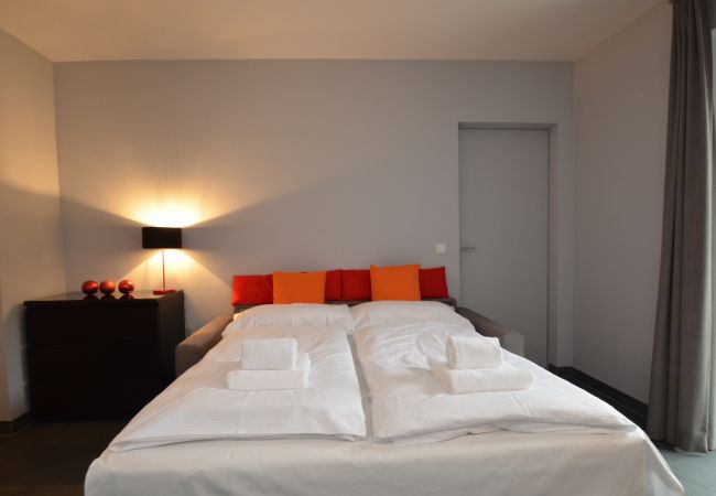 Ferienwohnung in Zell am See - 5 Seasons House Zell am See - TOP 6, SUMMER CARD Ferienwohnung in Zell am See - 5 Seasons House Zell am See - TOP 6, SUMMER CARD