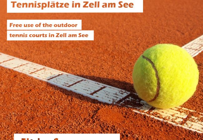 Ferienwohnung in Zell am See - Ski Chalet Jim / 300 m from ski lift Ferienwohnung in Zell am See - Ski Chalet Jim / 300 m from ski lift