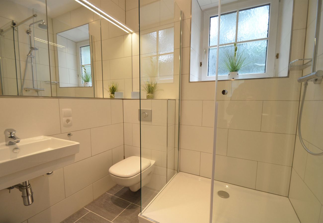 Ferienwohnung in Zell am See - Apartment CityXpress TOP 6 - Zell am See