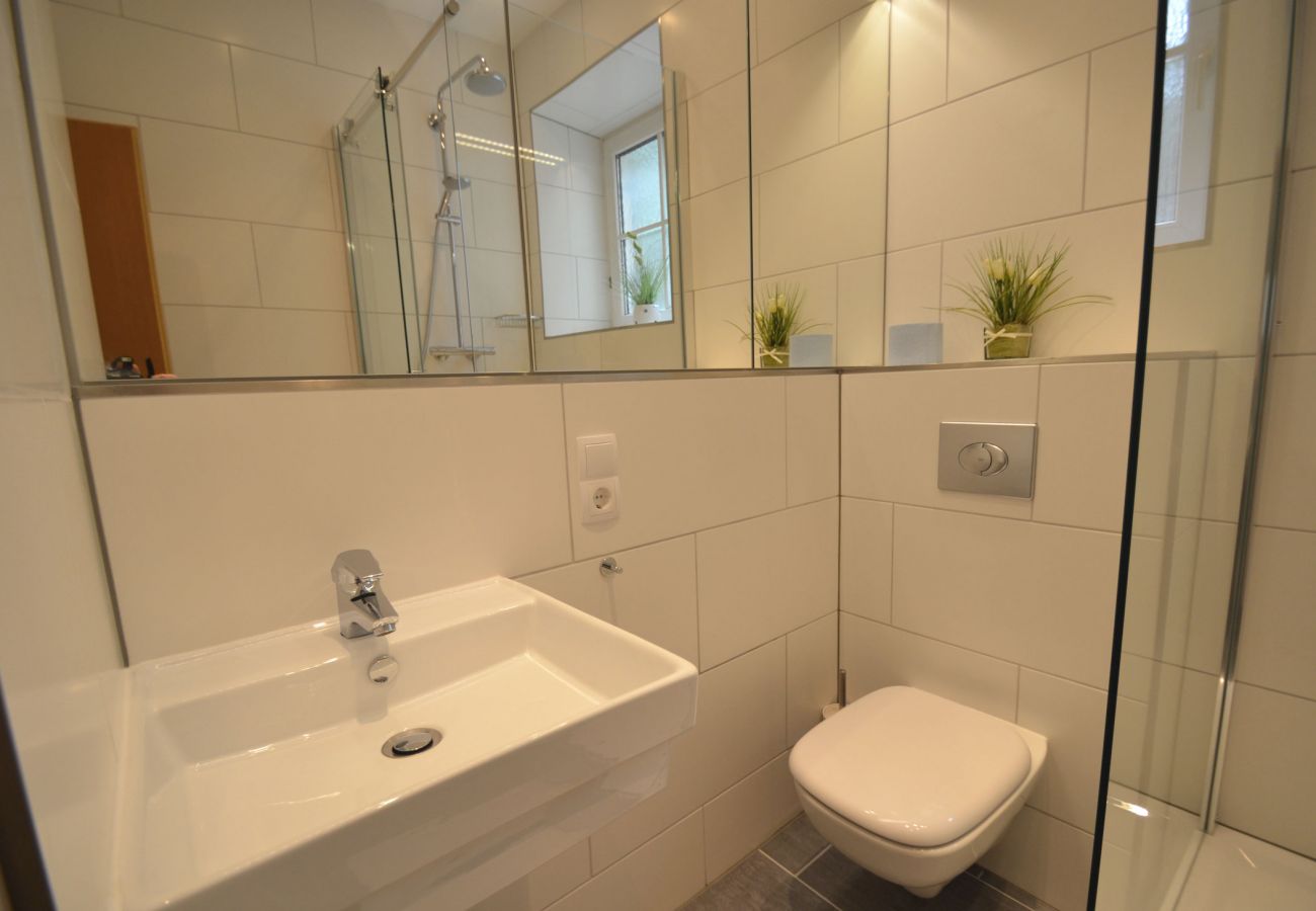 Ferienwohnung in Zell am See - Apartment CityXpress TOP 6 - Zell am See