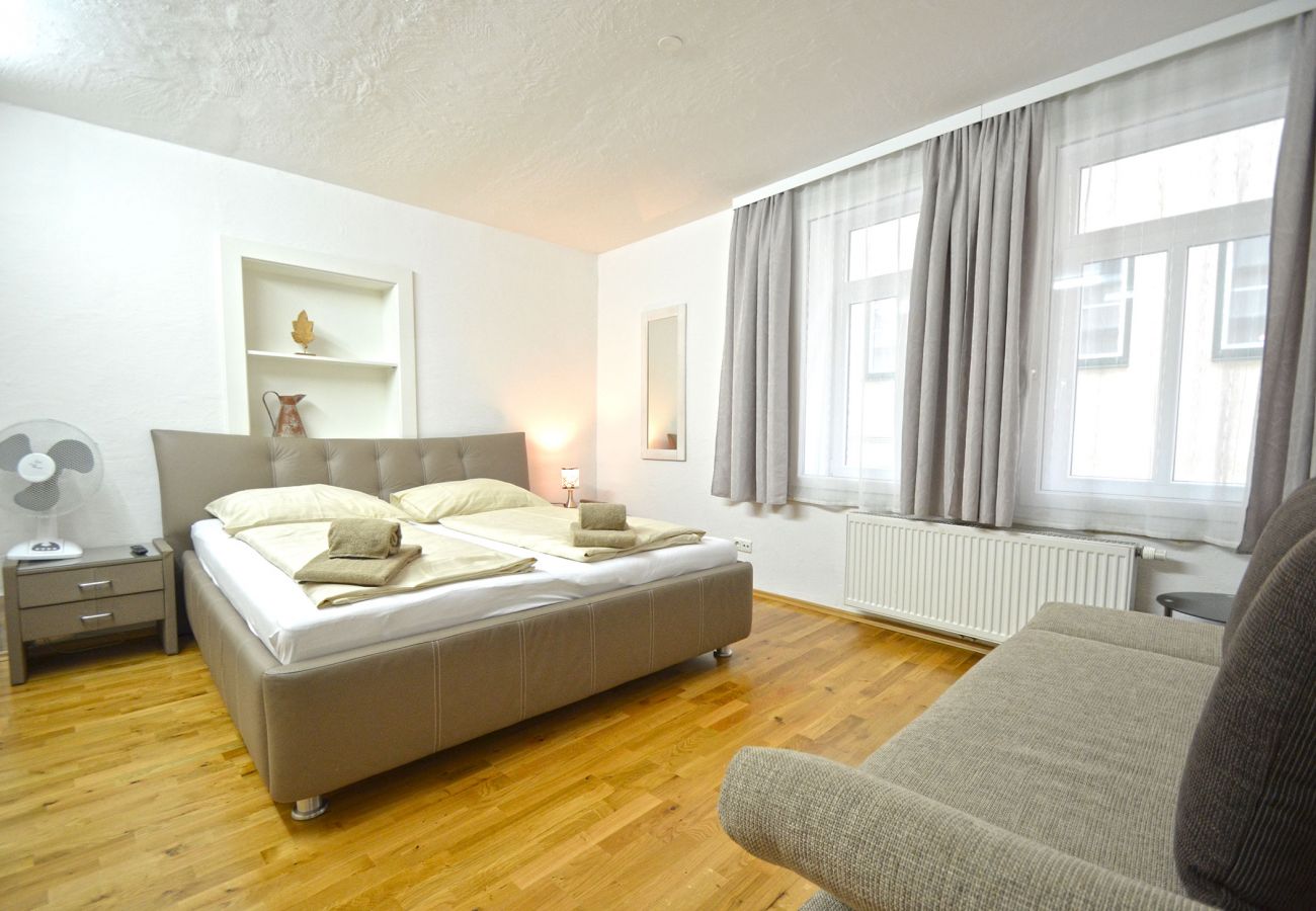 Wohnung in Zell am See - Apartment Kreuzgasse - TOP 2 / in the town of Zell