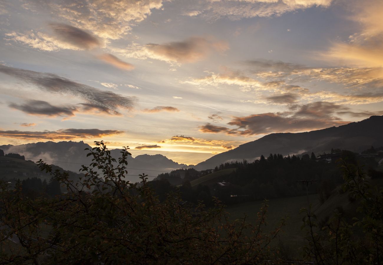 Chalet in Leogang - Finest Ski Chalet incl. SaalfeldenLeogang Card