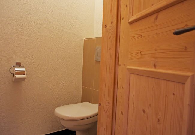 Ferienwohnung in Zell am See - Apartment ANBLICK - lake and mountain view Ferienwohnung in Zell am See - Apartment ANBLICK - lake and mountain view