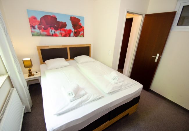 Ferienwohnung in Zell am See - Apartment THE GOOD VIEW II - Lake & Mountain view Ferienwohnung in Zell am See - Apartment THE GOOD VIEW II - Lake & Mountain view