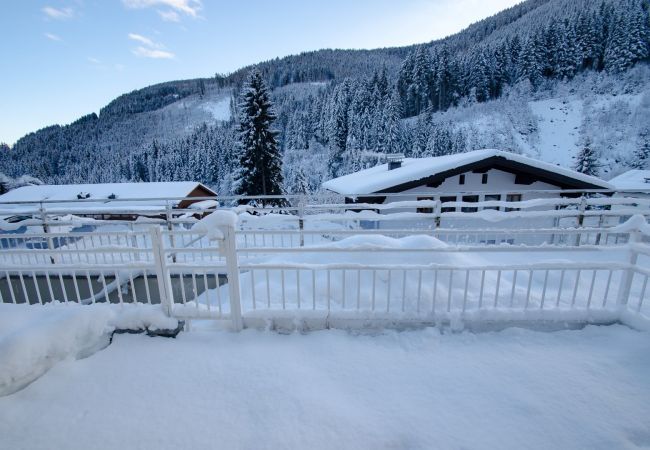 Ferienwohnung in Zell am See - Apartment Summer & Winter Fun I - 200 from ski lif