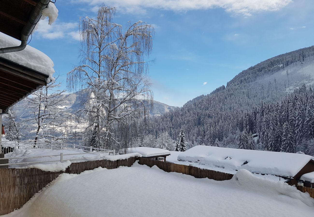 Ferienwohnung in Zell am See - Penthouse Summer & Winter Fun 3, roof terrace