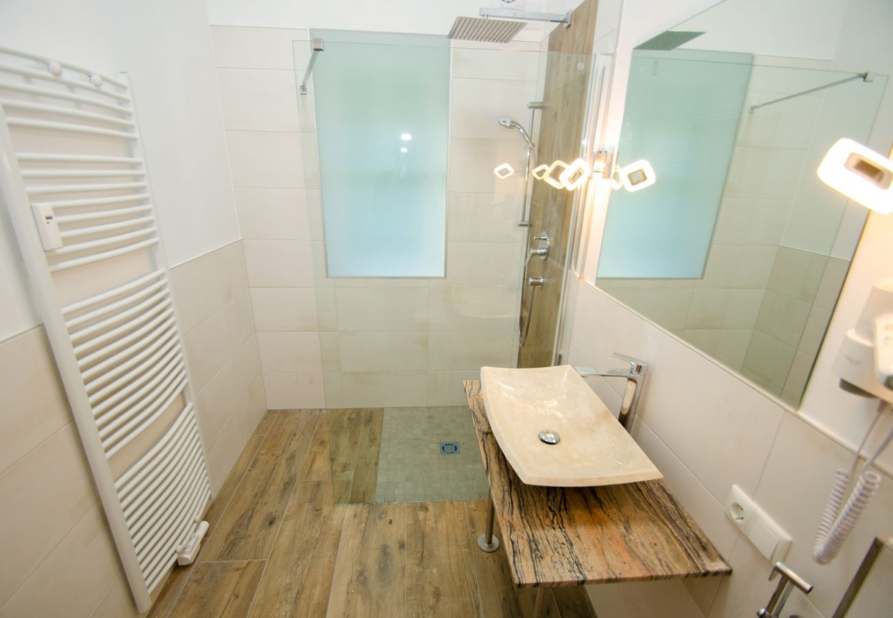 Ferienwohnung in Zell am See - Penthouse Summer & Winter Fun 3, roof terrace