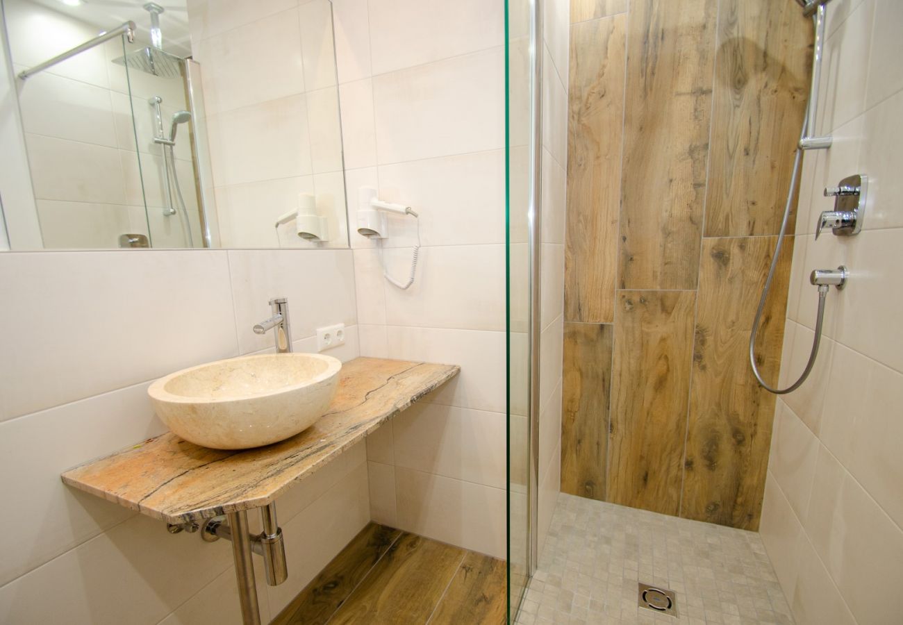 Ferienwohnung in Zell am See - Penthouse Summer & Winter Fun 3, roof terrace