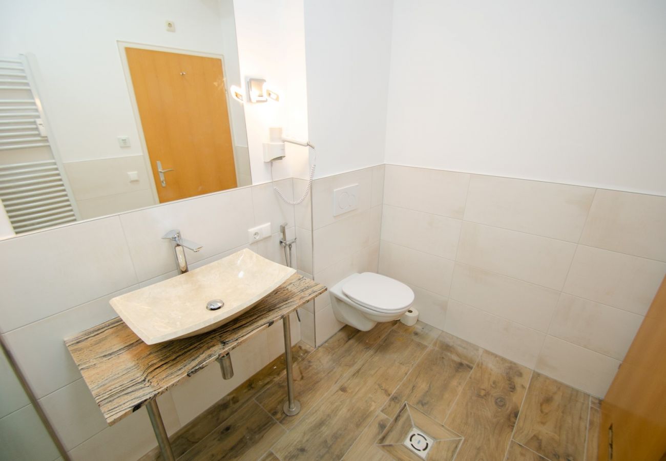Ferienwohnung in Zell am See - Penthouse Summer & Winter Fun 3, roof terrace