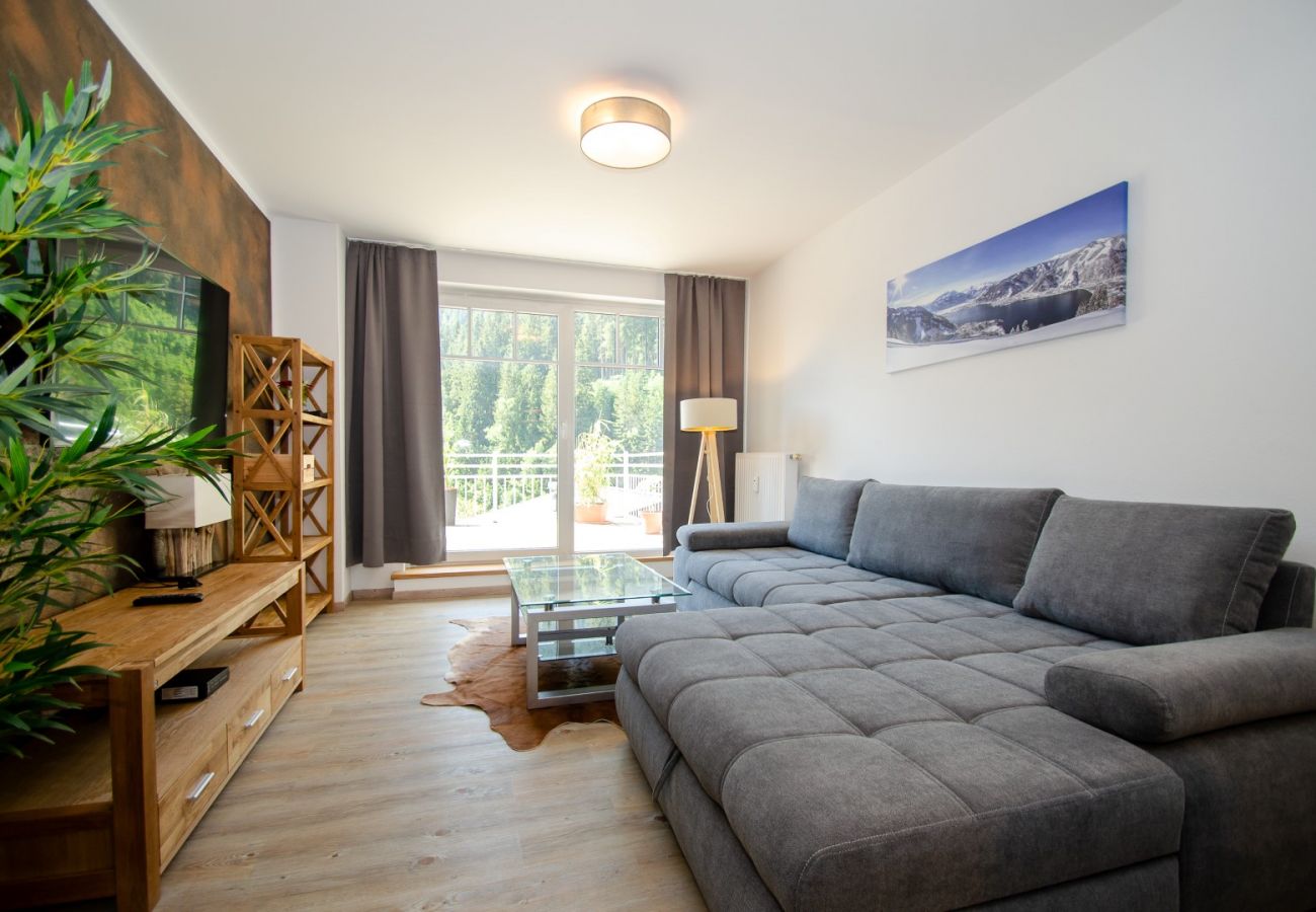 Ferienwohnung in Zell am See - Penthouse Summer & Winter Fun, roof terrace