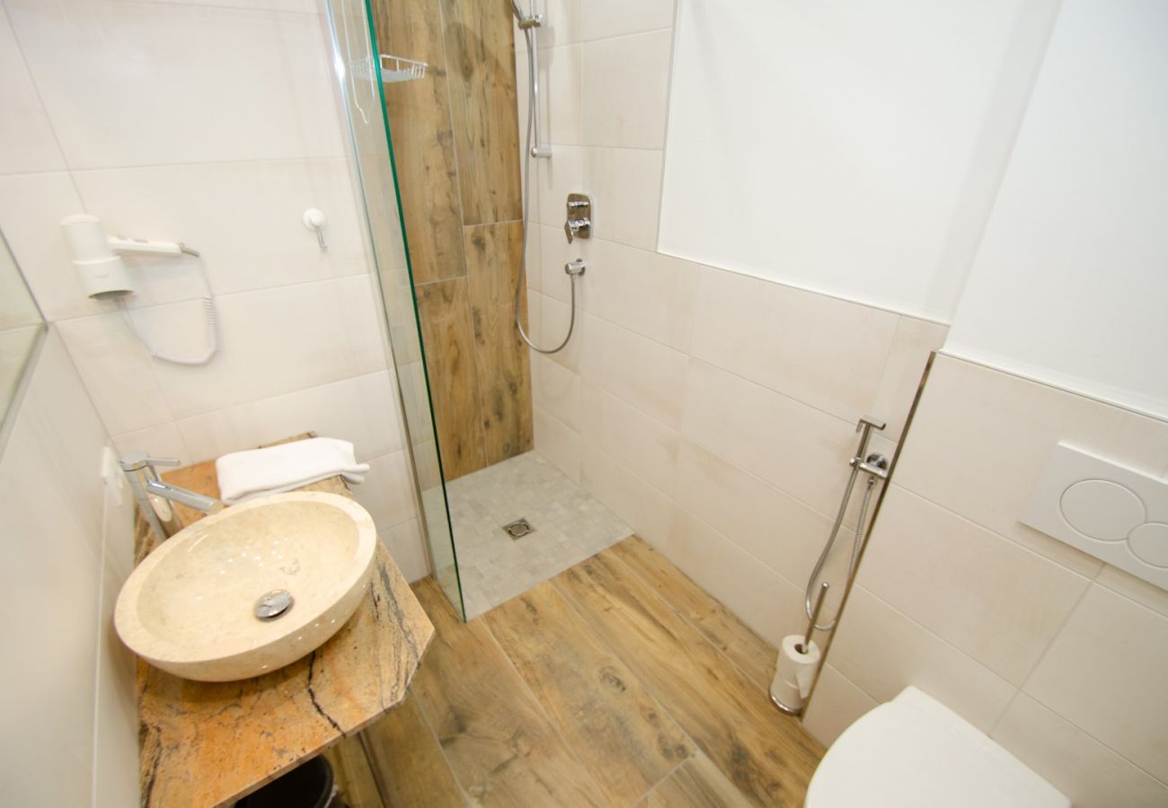 Ferienwohnung in Zell am See - Penthouse Summer & Winter Fun 3, roof terrace