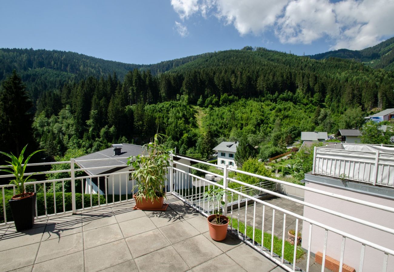 Ferienwohnung in Zell am See - Penthouse Summer & Winter Fun, roof terrace