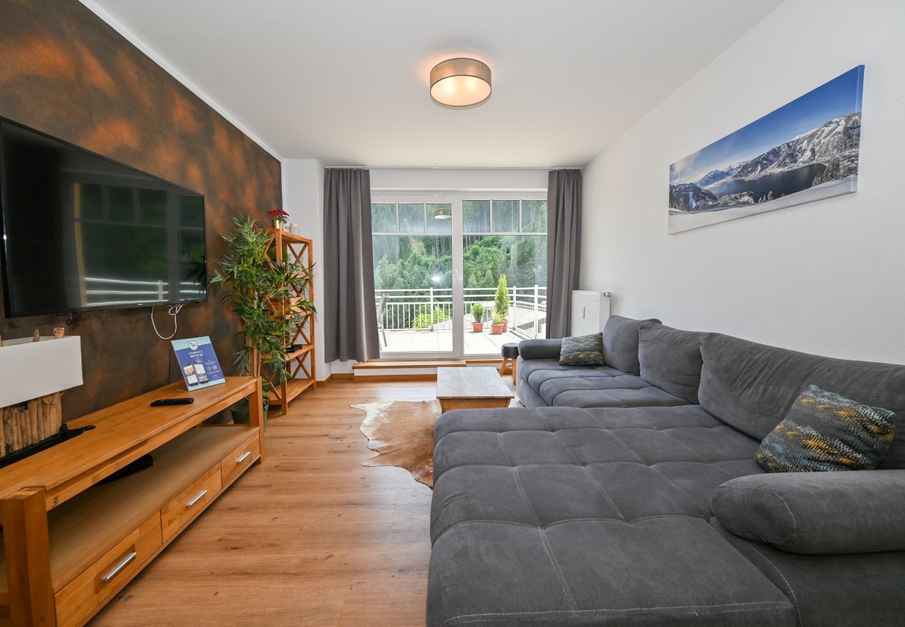 Ferienwohnung in Zell am See - Penthouse Summer & Winter Fun 3, roof terrace