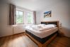 Ferienwohnung in Zell am See - Penthouse Summer & Winter Fun 3, roof terrace