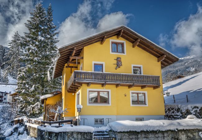 Ferienwohnung in Zell am See - BUDGET Chalet Alpine - Apartment A