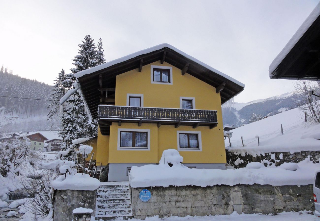 Ferienwohnung in Zell am See - BUDGET Chalet Alpine - Apartment A