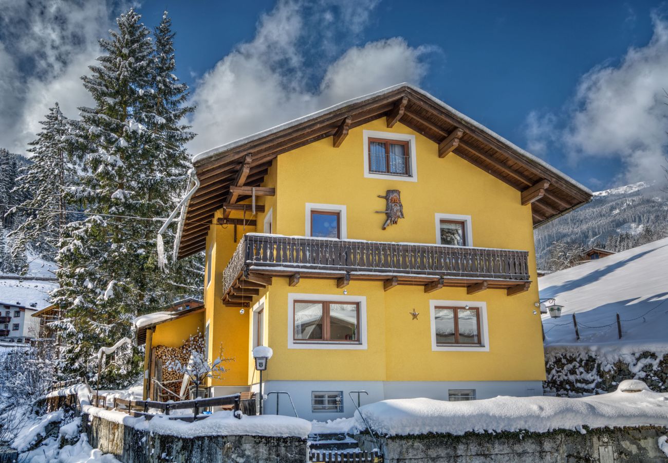 Ferienwohnung in Zell am See - BUDGET Chalet Alpine - Apartment A