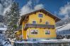 Ferienwohnung in Zell am See - BUDGET Chalet Alpine - Apartment A
