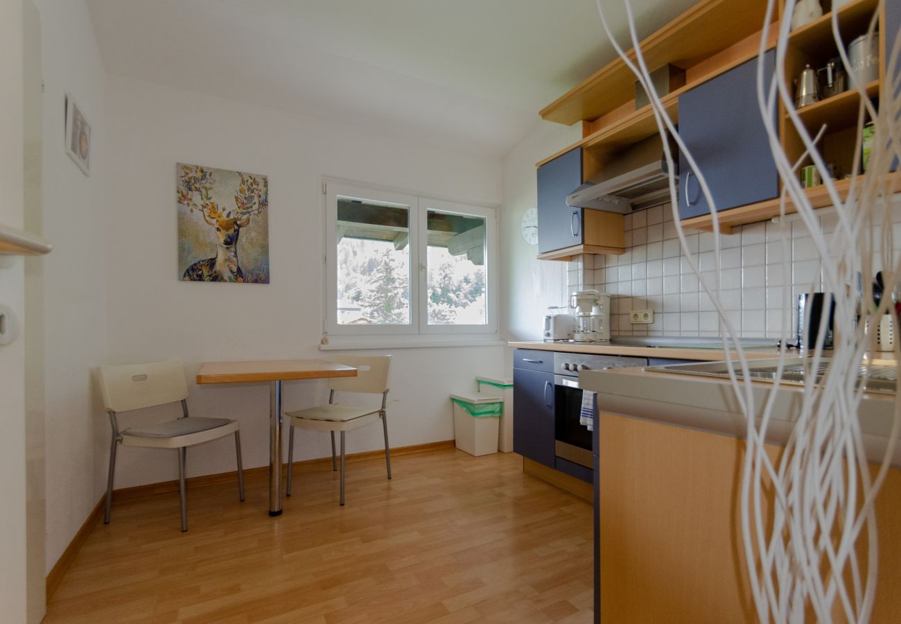 Wohnung in Zell am See - Lake View Apartment TwentySix