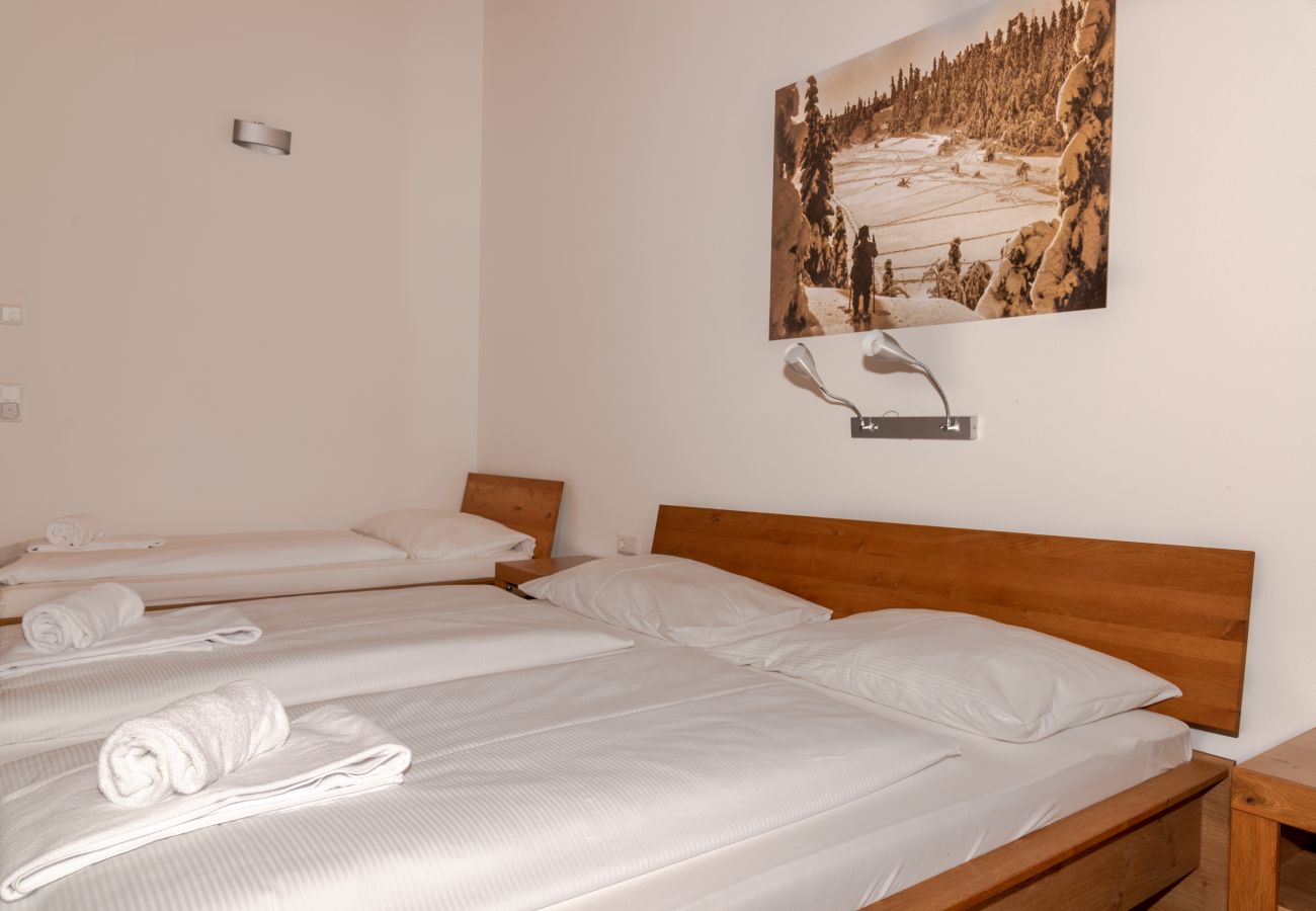 Ferienwohnung in Piesendorf - Penthouse Hohe Tauern