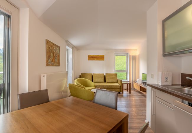 Ferienwohnung in Kaprun - Apartment Glacier View 14.6. with balcony Ferienwohnung in Kaprun - Apartment Glacier View 14.6. with balcony