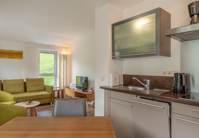 Ferienwohnung in Kaprun - Apartment Glacier View 14.6. with balcony Ferienwohnung in Kaprun - Apartment Glacier View 14.6. with balcony