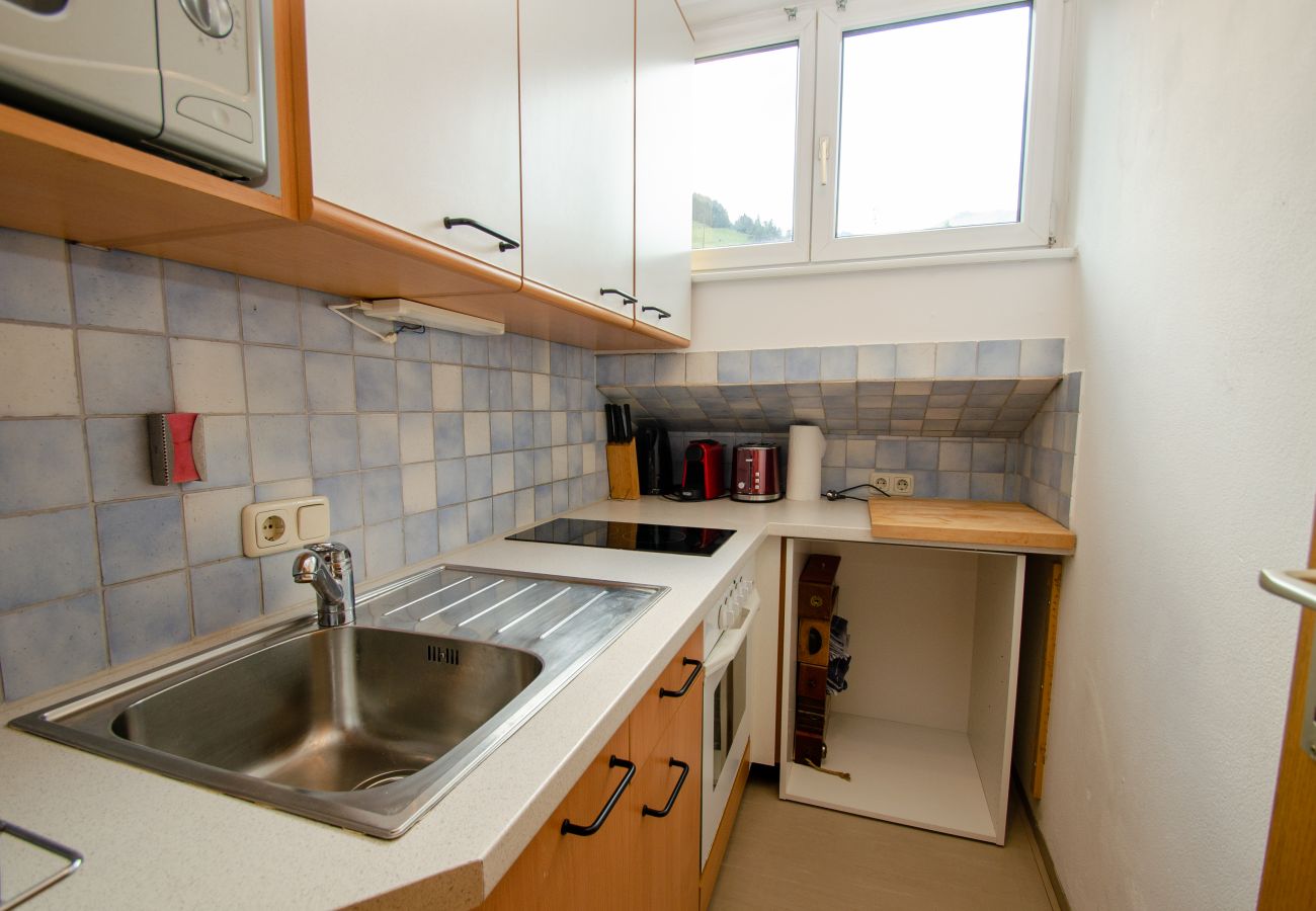 Ferienwohnung in Zell am See - Apartment CityXpress TOP 18 - Zell am See