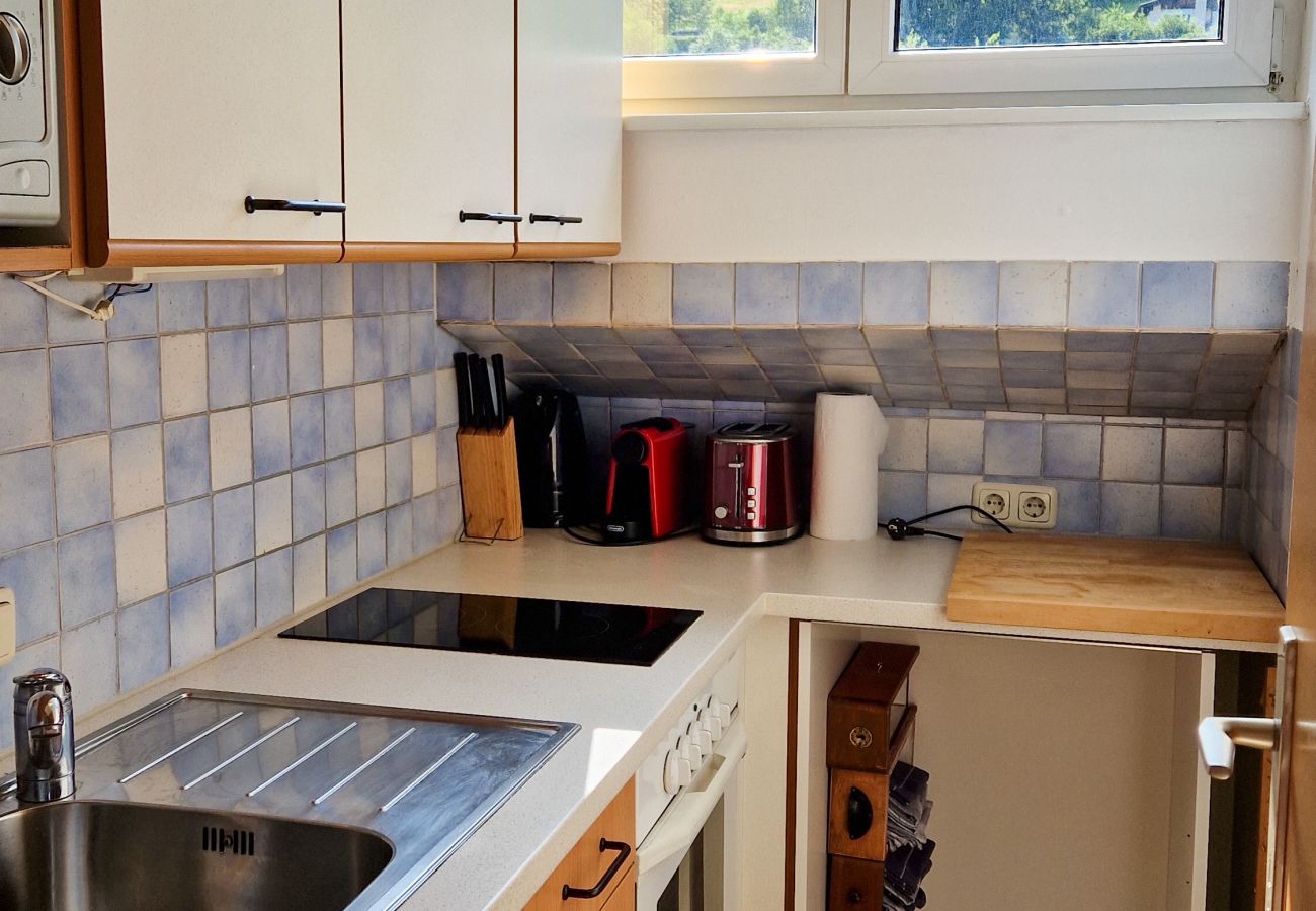 Ferienwohnung in Zell am See - Apartment CityXpress TOP 18 - Zell am See