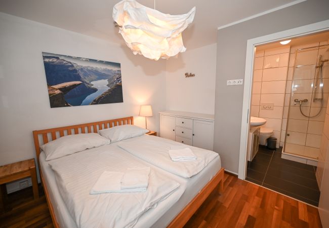 Ferienwohnung in Kaprun - Residence Alpin TOP 1 incl SUMMER CARD Ferienwohnung in Kaprun - Residence Alpin TOP 1 incl SUMMER CARD