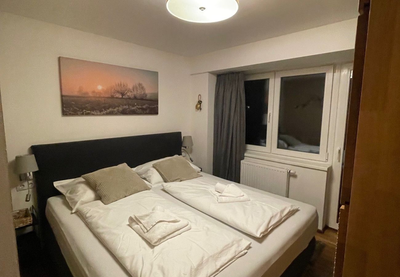 Ferienwohnung in Kaprun - Residence Alpin TOP 6 - Kaprun incl SUMMER CARD
