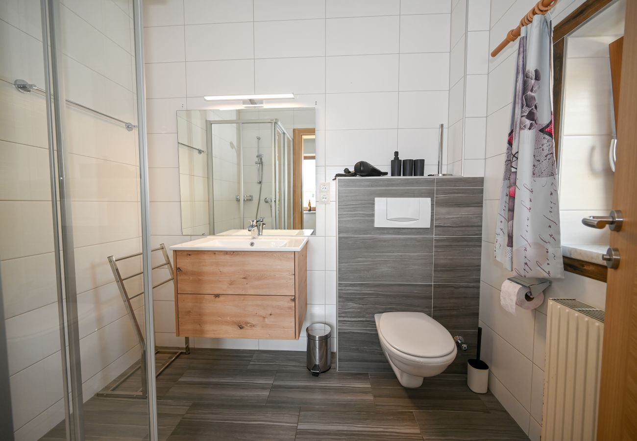 Ferienwohnung in Zell am See - Apartment Medicus Zell am See, incl SUMMER CARD