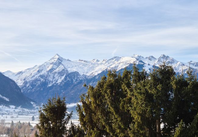 Ferienwohnung in Zell am See - Penthouse Forsterhaus - glacier view