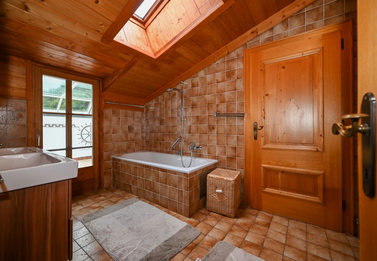Ferienwohnung in Zell am See - Penthouse Forsterhaus - glacier view