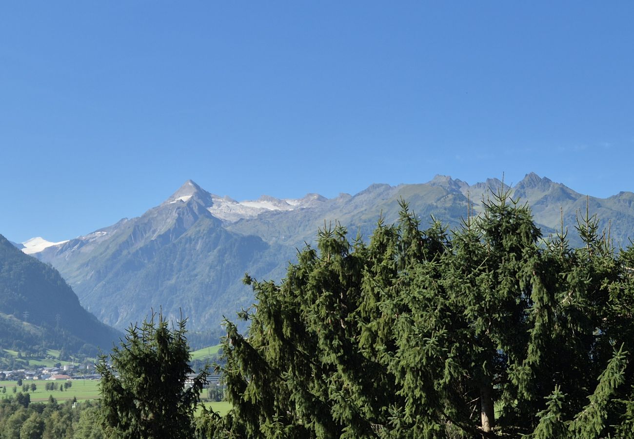 Ferienwohnung in Zell am See - Penthouse Forsterhaus - glacier view