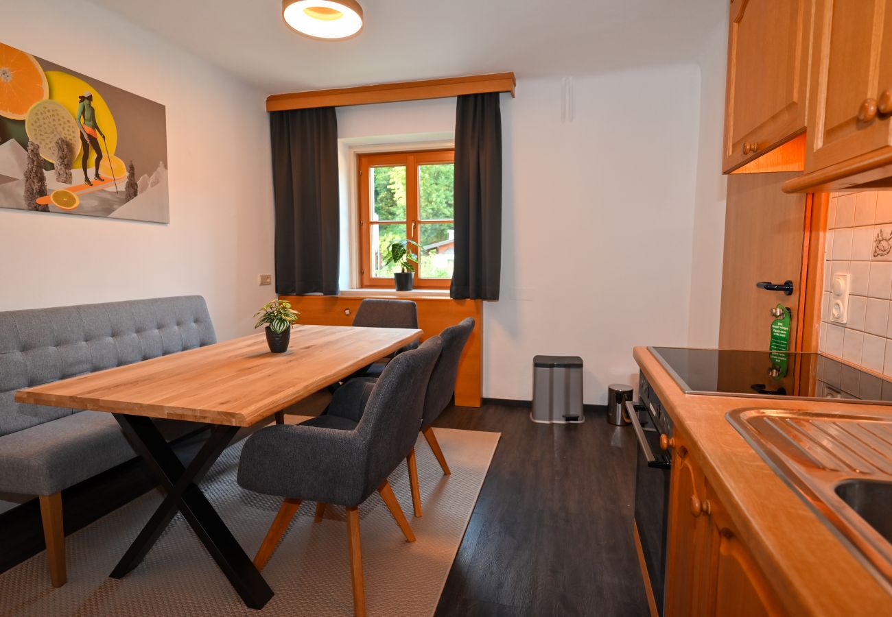 Ferienwohnung in Zell am See - Schmitten 27 - Apartment 10 / 200m from ski lift