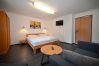 Studio in Zell am See - Schmitten 27 - Room 8 / 200m from ski lift Studio in Zell am See - Schmitten 27 - Room 8 / 200m from ski lift