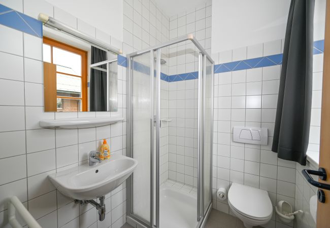 Studio in Zell am See - Schmitten 27 - Room 11 / 200m from ski lift Studio in Zell am See - Schmitten 27 - Room 11 / 200m from ski lift