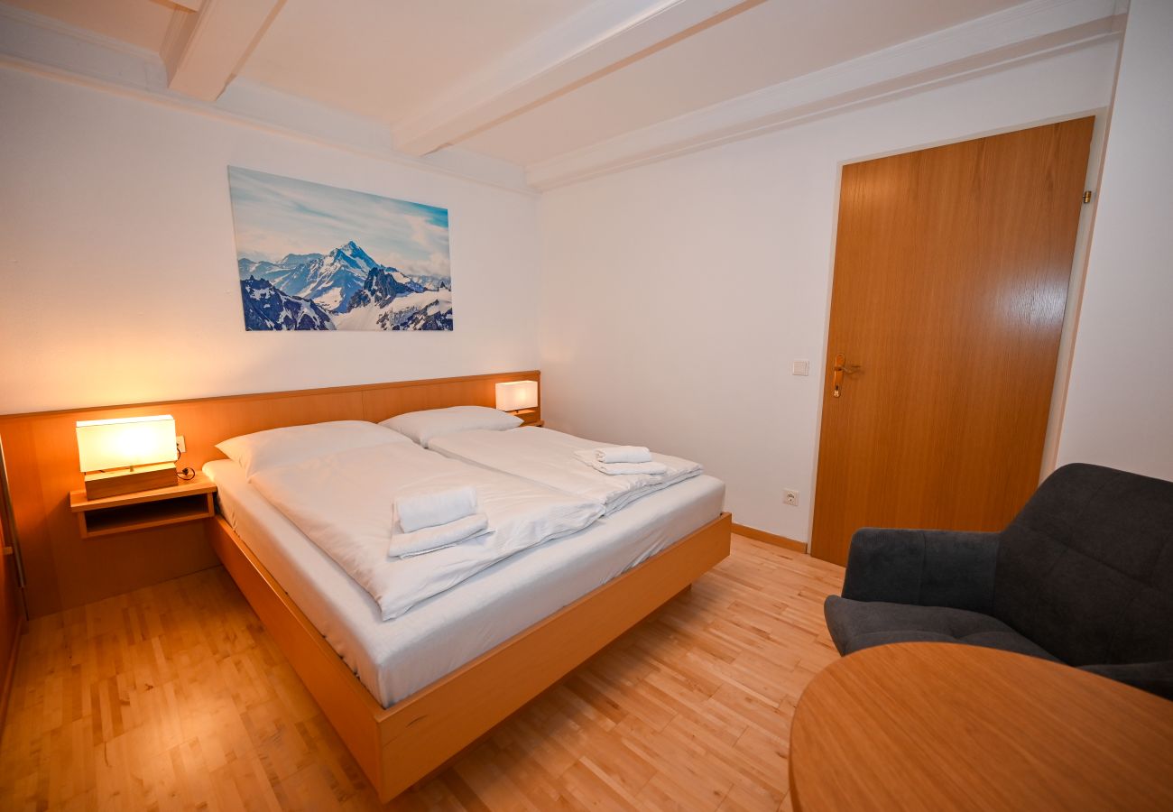 Ferienwohnung in Zell am See - Schmitten 27 - Apartment 3 / 200m from ski lift