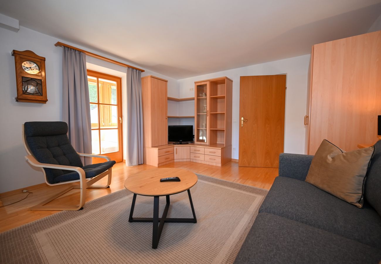 Ferienwohnung in Zell am See - Schmitten 27 - Apartment 3 / 200m from ski lift