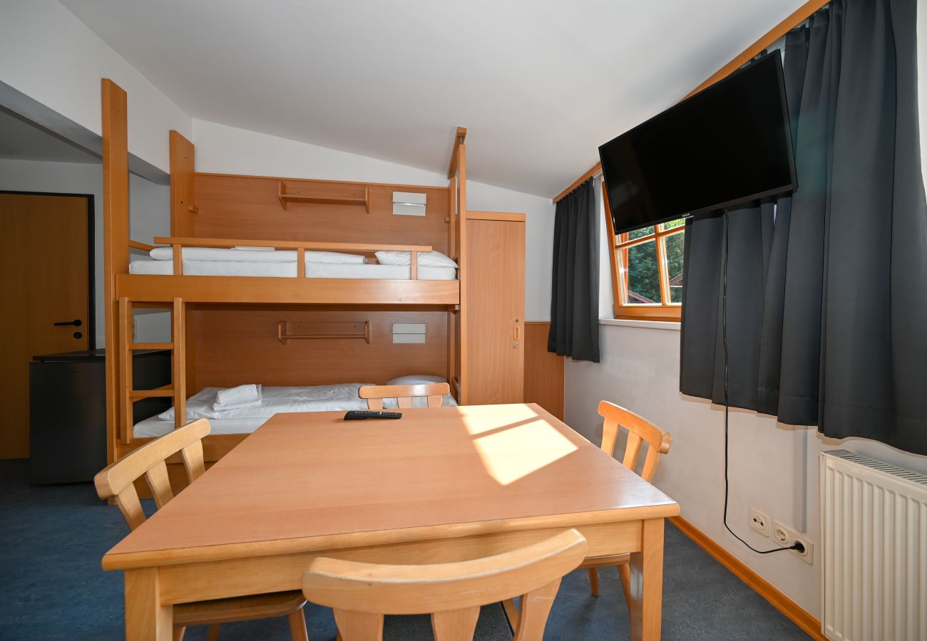 Studio in Zell am See - Schmitten 27 - Room 7 / 200m from ski lift