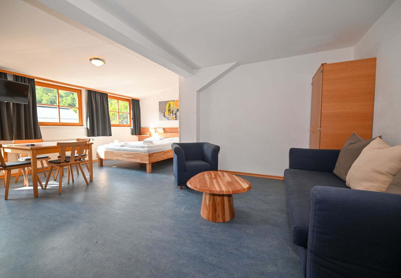 Studio in Zell am See - Schmitten 27 - Room 7 / 200m from ski lift